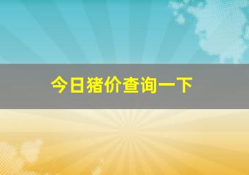 今日猪价查询一下