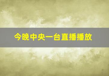 今晚中央一台直播播放