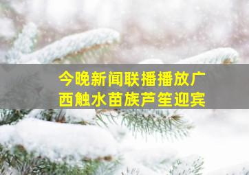 今晚新闻联播播放广西触水苗族芦笙迎宾