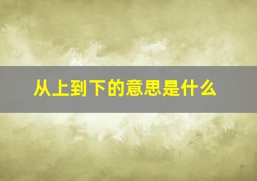 从上到下的意思是什么