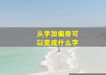 从字加偏旁可以变成什么字