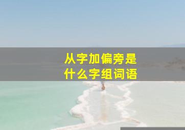 从字加偏旁是什么字组词语