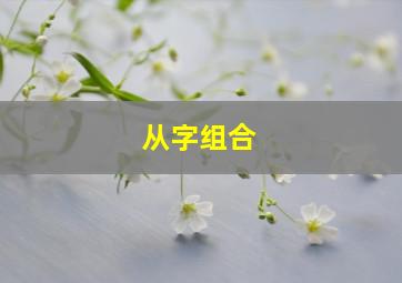 从字组合