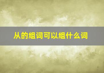 从的组词可以组什么词