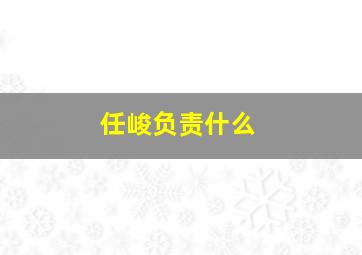 任峻负责什么