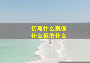 仿写什么就像什么似的什么