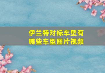 伊兰特对标车型有哪些车型图片视频