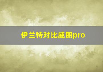 伊兰特对比威朗pro