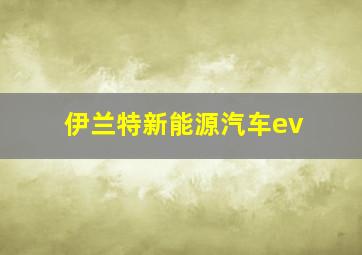 伊兰特新能源汽车ev