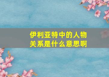 伊利亚特中的人物关系是什么意思啊