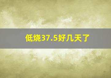 低烧37.5好几天了