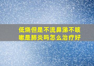 低烧但是不流鼻涕不咳嗽是肺炎吗怎么治疗好