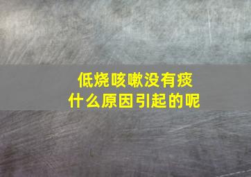 低烧咳嗽没有痰什么原因引起的呢