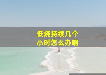 低烧持续几个小时怎么办啊