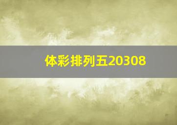 体彩排列五20308