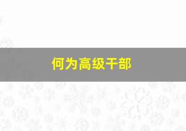 何为高级干部