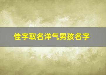 佳字取名洋气男孩名字