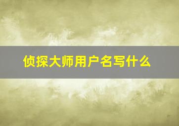 侦探大师用户名写什么