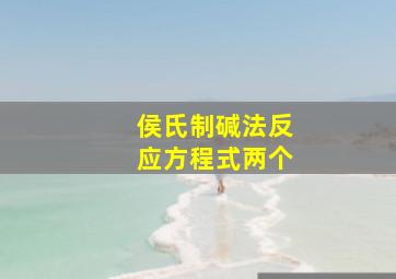 侯氏制碱法反应方程式两个