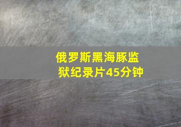 俄罗斯黑海豚监狱纪录片45分钟