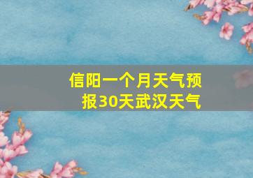 信阳一个月天气预报30天武汉天气