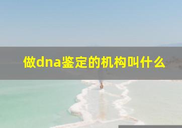 做dna鉴定的机构叫什么