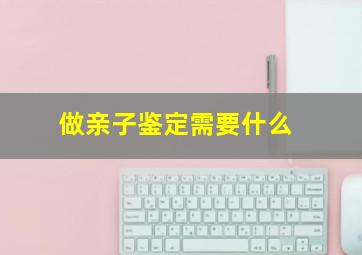 做亲子鉴定需要什么