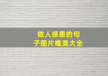 做人感恩的句子图片唯美大全