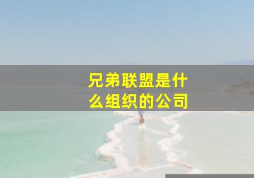 兄弟联盟是什么组织的公司