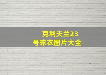 克利夫兰23号球衣图片大全