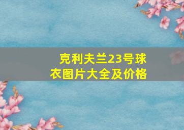 克利夫兰23号球衣图片大全及价格