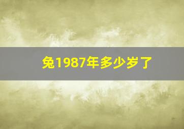 兔1987年多少岁了