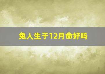 兔人生于12月命好吗