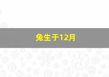 兔生于12月