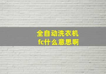 全自动洗衣机fc什么意思啊