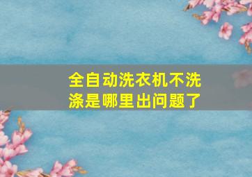 全自动洗衣机不洗涤是哪里出问题了