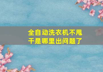 全自动洗衣机不甩干是哪里出问题了