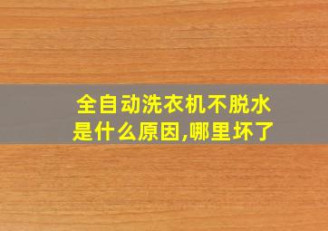 全自动洗衣机不脱水是什么原因,哪里坏了