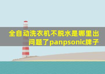 全自动洗衣机不脱水是哪里出问题了panpsonic牌子