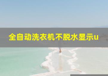 全自动洗衣机不脱水显示u