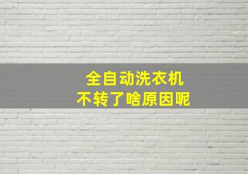 全自动洗衣机不转了啥原因呢