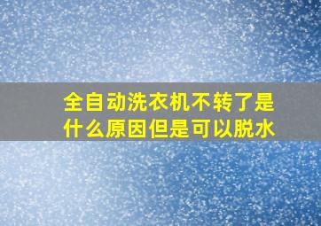 全自动洗衣机不转了是什么原因但是可以脱水