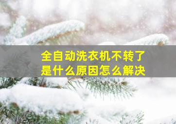 全自动洗衣机不转了是什么原因怎么解决