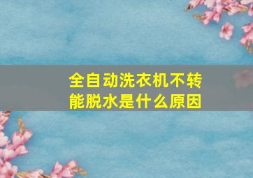 全自动洗衣机不转能脱水是什么原因