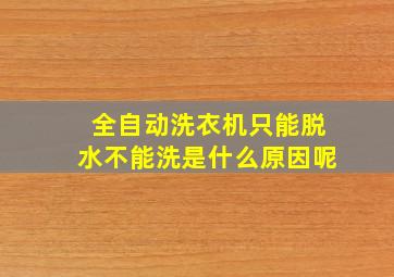 全自动洗衣机只能脱水不能洗是什么原因呢