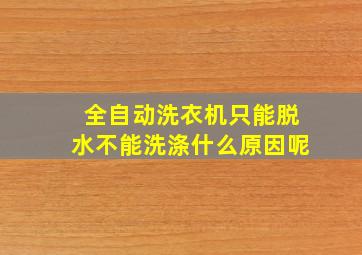 全自动洗衣机只能脱水不能洗涤什么原因呢