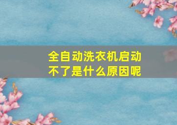 全自动洗衣机启动不了是什么原因呢