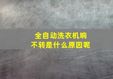 全自动洗衣机响不转是什么原因呢