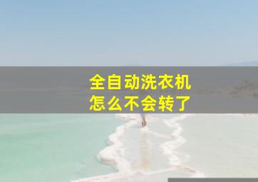 全自动洗衣机怎么不会转了