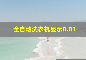 全自动洗衣机显示0.01